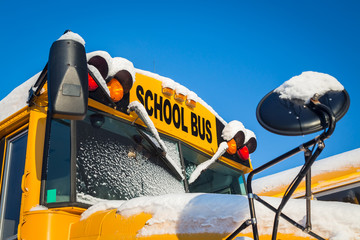 Winter School Buses