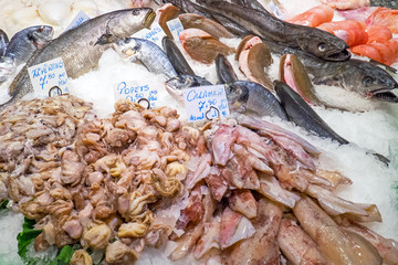Fish and seafood at the Boqueria market in Barcelona