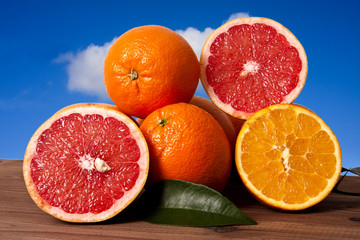 oranges and grapefruit