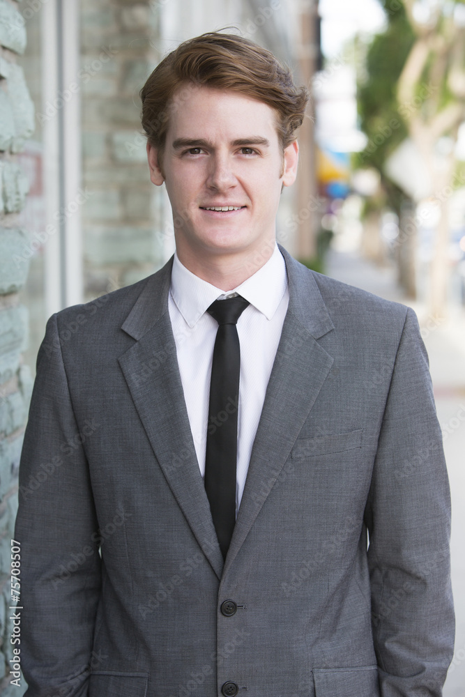 Wall mural portrait of a businessman