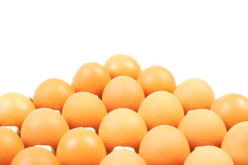 Eggs in a cardboard box