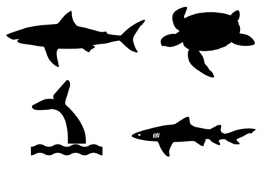 Animaux marins en 4 icônes