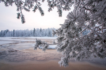 Winter scenery from Finnish nature