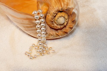 Fototapeta na wymiar Muschel und Perlen im kristall Sand