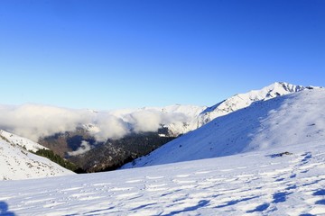 Paysage enneigé