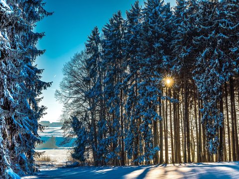 Fototapeta Winterwunderland mit Sonnenstrahlen in Bayern