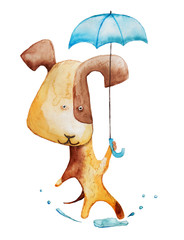 dog with umbrella. watercolor illustration