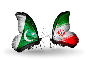 Two butterflies with flags Pakistan and Iran