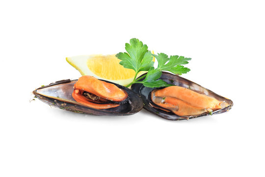 boiled mussels isolated on white background