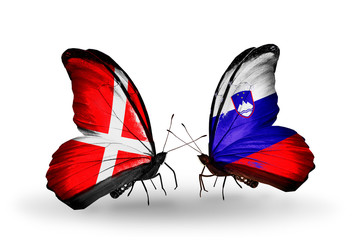Two butterflies with flags Denmark and Slovenia