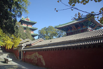 Chine