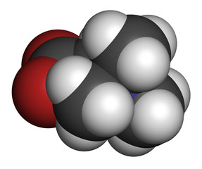 Betaine (glycine betaine, trimethylglycine) molecule. 