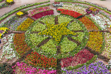 various flower on garden pubic