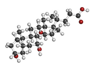 Bile acid (cholic acid, cholate) molecule.