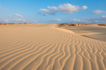 Fototapeta na wymiar Waves on sand dunes in Chaves beach Praia de Chaves in Boavist