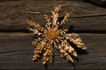thistle dry flowers over a chalet's door