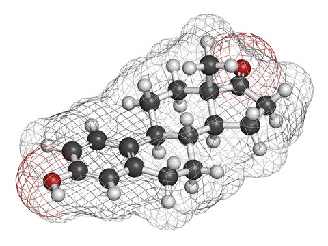 Estrone (oestrone) human estrogen hormone molecule.