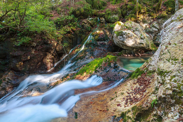 Naklejka na ściany i meble Mountain stream in the Lepena valley