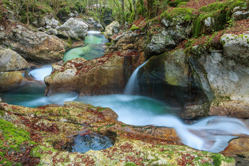 Fototapeta na wymiar Mountain stream in the Lepena valley