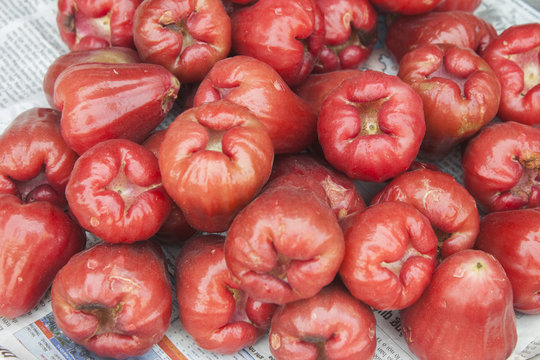 Java apples
