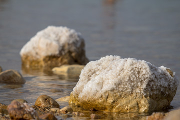 The coastal stones covered by salty adjournment