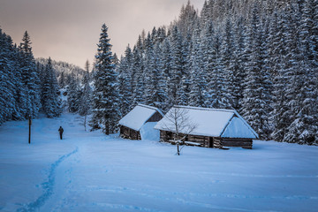 Lone man on winter mountain trail