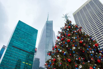  New York Christmas Tree © inna253
