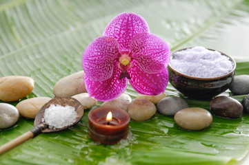 Fototapeta na wymiar health spa with many white salt in bowl and banana leaf