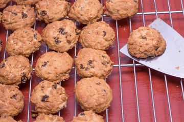 Fresh Cookie homemade