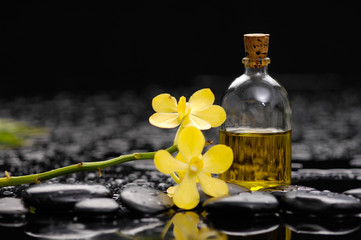 still life with black stone and yellow orchid with oil