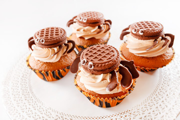 chocolate muffins