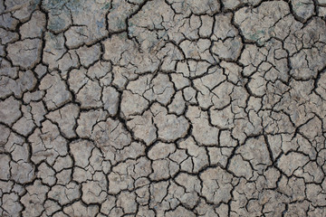 mud crack
