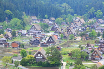 Fototapeta na wymiar World heritage site Shirakawago, Gifu, Japan