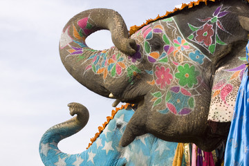 Obraz premium Colorful hand painted elephants, Holi festival, Jaipur, Rajasthan, India 