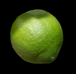 Green lime citrus fruit isolated on black.