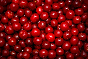 red cherry background