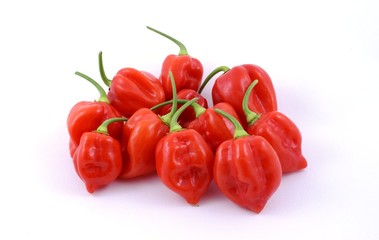 Habanero rosso