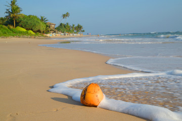 Obraz premium Tropical beach in Sri Lanka