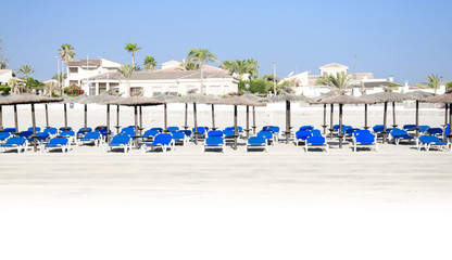 Lounge chairs, palm trees and parasols on Spanish beach.
