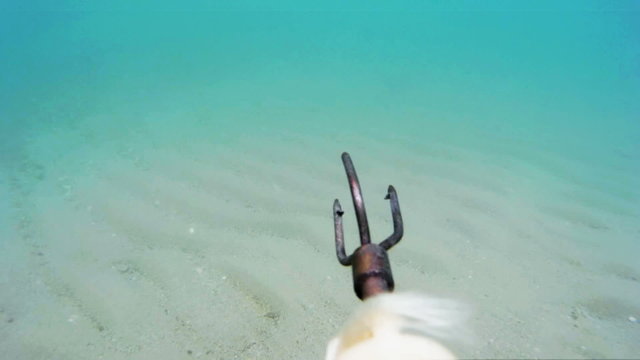 Hunting scenes underwater