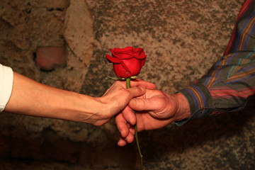 Man Giving a Woman a Red Rose
