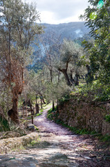 Walking path Soller, Mallorca, Balearic islands, Spain