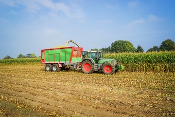 Obraz premium Erntetechnik, - Maisernte mit Maishäcksler, Traktor und Anhänger