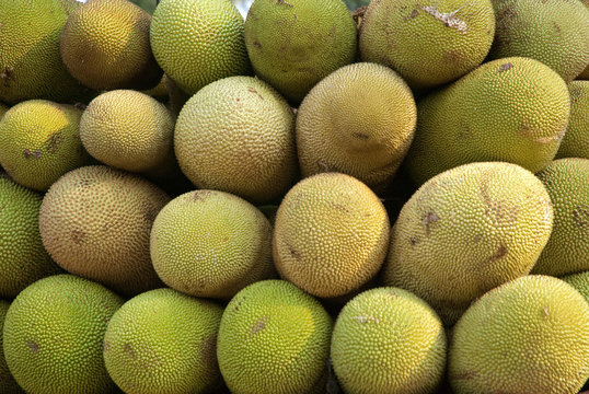 Jackfruit