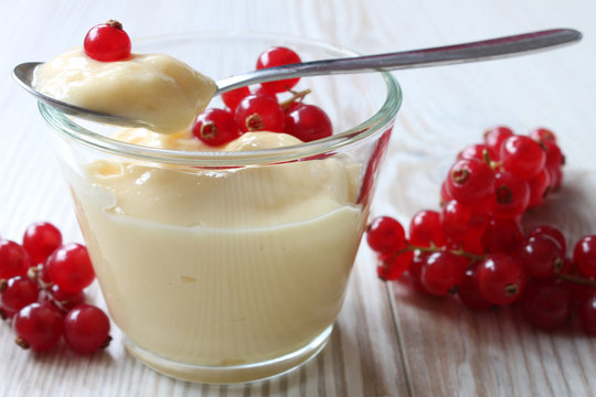 Vanille-Pudding mit roten Johannisbeeren