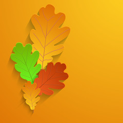 Fototapeta premium Vector modern autumn element design.