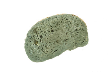 Bread Mold