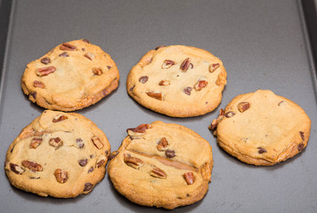 Baking Sheet of Fresh Cookies