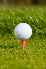Golf ball on tee shallow dof