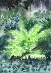 Obraz premium Wet fern in misty forest
